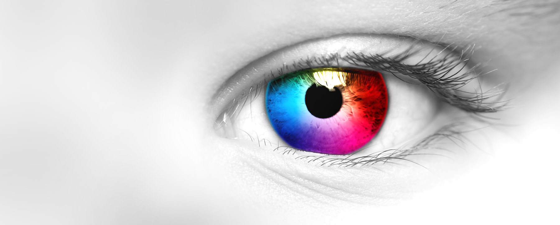 VISION